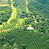 Sustentabilidade