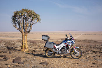 Honda RedRider