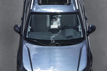 CR-V Advanced Hybrid